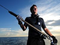 Etiam commodo convallis